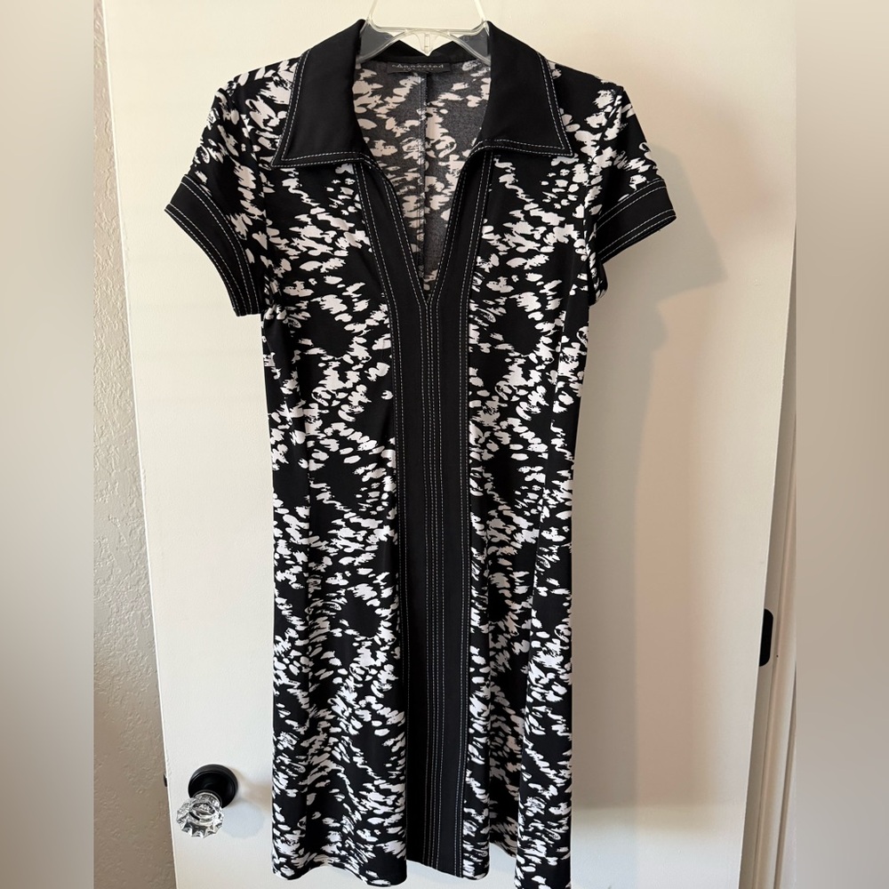 Stylish Black and White Women's Dress